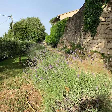 Gisfort Uzès